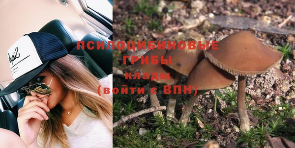мяу мяу мука Пересвет