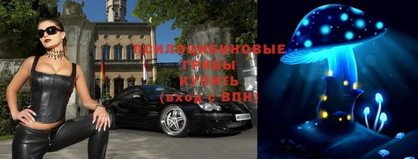 МДПВ Осинники