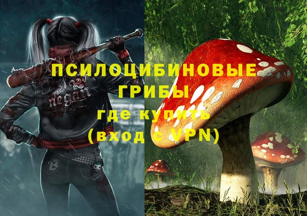 экстази Пестово