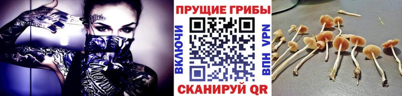 Галлюциногенные грибы Magic Shrooms  даркнет клад  Унеча 