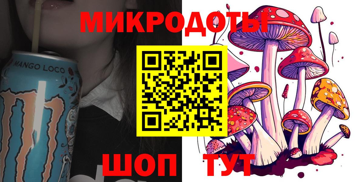Псилоцибиновые грибы Psilocybe Унеча