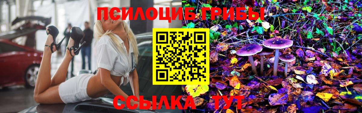 дарнет шоп  Унеча  Галлюциногенные грибы MAGIC MUSHROOMS 